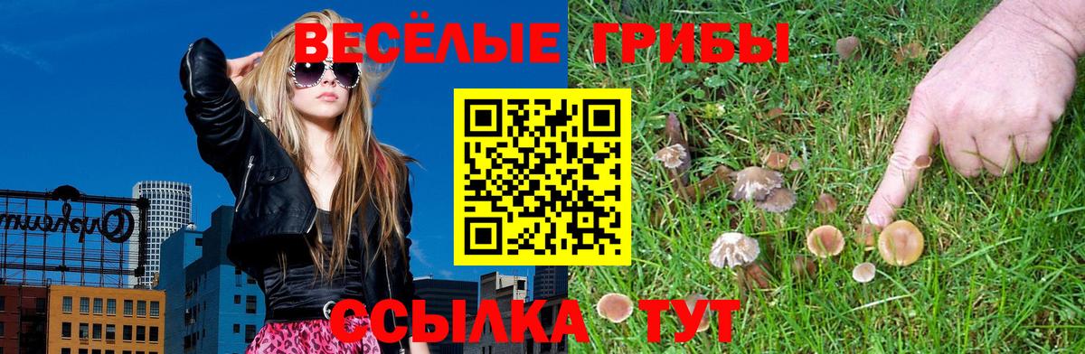 Галлюциногенные грибы GOLDEN TEACHER  Вход с VPN  Лабытнанги  Галлюциногенные грибы MAGIC MUSHROOMS 